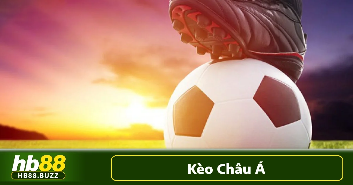 Để có thể chơi cá cược kèo châu Á hiệu quả, việc hiểu rõ cách đọc kèo là điều không thể bỏ qua