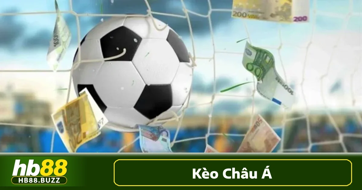 Chọn đúng kèo phù hợp là yếu tố quyết định thành công trong cá cược